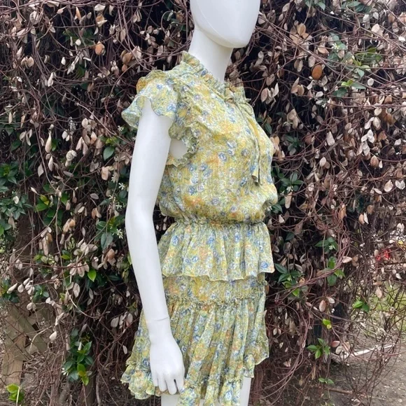 💋RESET Floral Print Ruffle Short Sleeve Layered Skirt Mini Dress - Picture 2 of 8